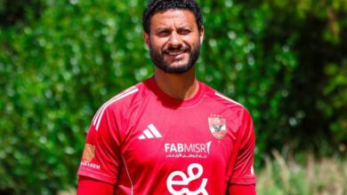 محمد الشناوي