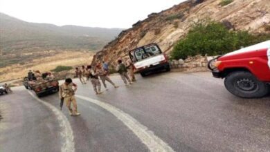 محور الغيضة يرسل تعزيزات لنقل قيادي حوثي معتقل في صرفيت وعصابات موالية للمليشيا تتداعى لمساندته