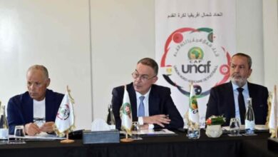 هاني أبو ريدة