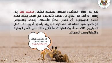 واشنطن تحمّل الحوثيين مسؤولية حدوث كارثة بيئية في البحر الأحمر