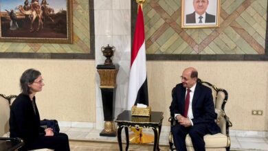 وزير الخارجية يبحث مع السفيرة الفرنسية تعزيز العلاقات الثنائية وتأهيل الكوادر الدبلوماسية