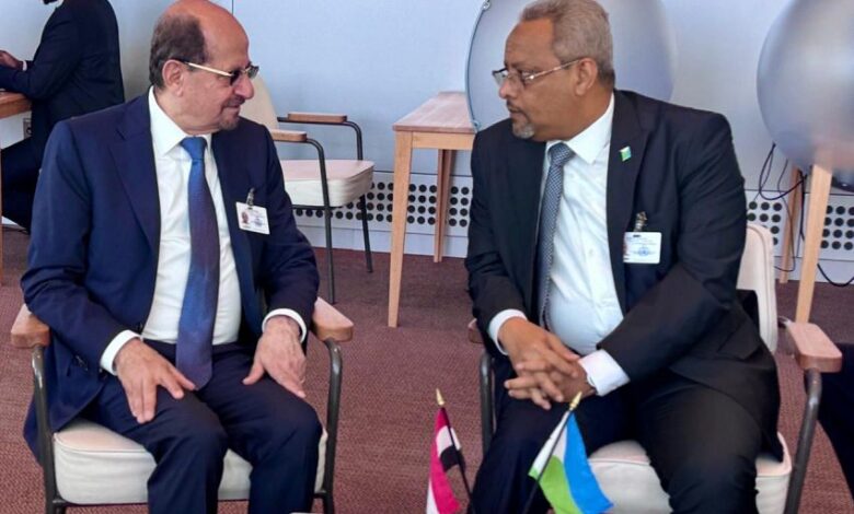 وزير الخارجية يبحث مع نظيره الجيبوتي آفاق تطوير التعاون المشترك
