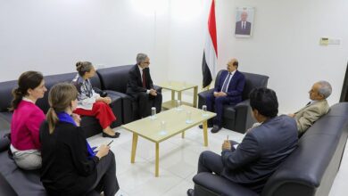 وزير الخارجية يلتقي رئيس بعثة الاتحاد الأوروبي