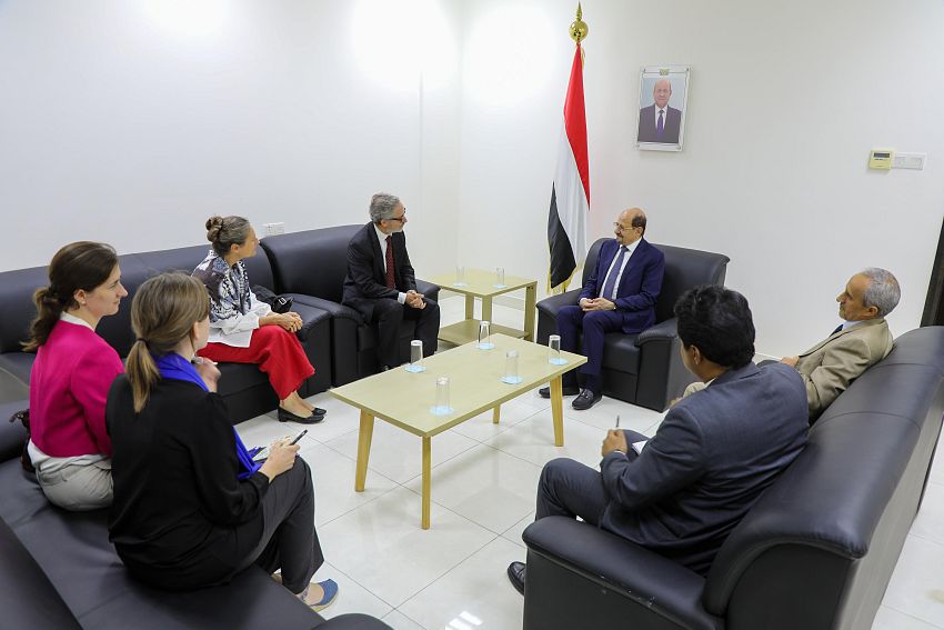 وزير الخارجية يلتقي رئيس بعثة الاتحاد الأوروبي