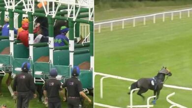 القناة الناقلة لمباراة الأهلي والملعب التونسي