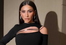 كيف يعيش الناجي الوحيد من كارثة تحطم الطائرة الهندية؟