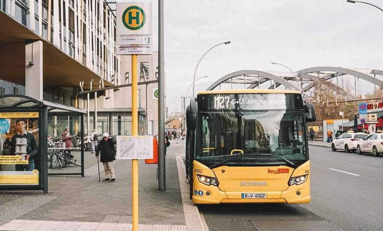 فيل يودي بحياة مدير محمية في جنوب أفريقيا