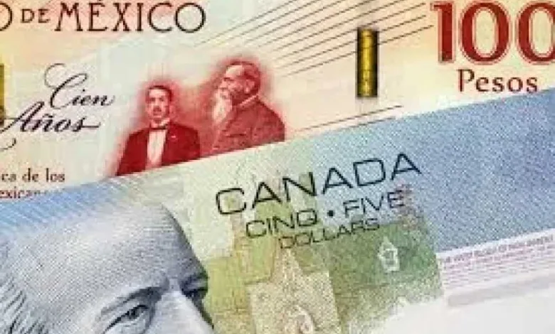 تعرف-على-أسعار-صرف-الدولار-الكندي-في-مصر-مقابل-الجنيه-المصري-اليوم-الأحد-10-–-8-2025-لحظة-بلحظة