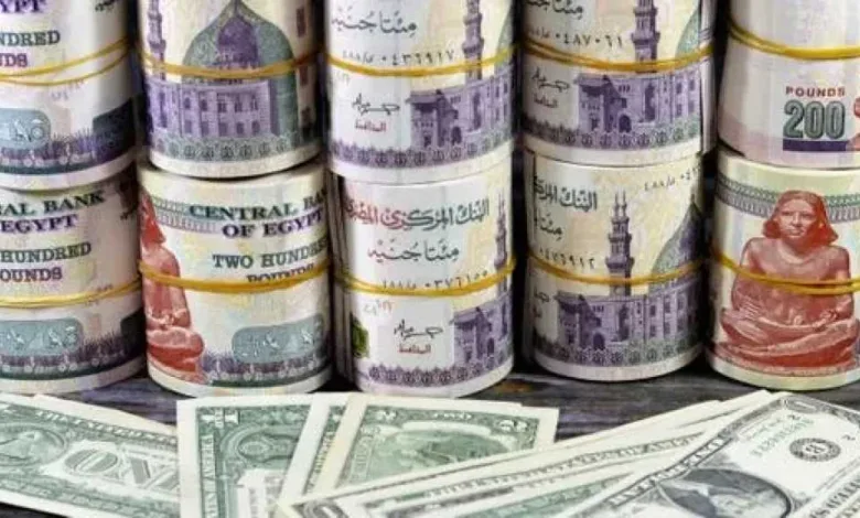 تعرف-على-أسعار-صرف-الدولار-الأمريكي-في-مصر-مقابل-الجنيه-المصري-اليوم-الإثنين-11-–-8-2025-لحظة-بلحظة