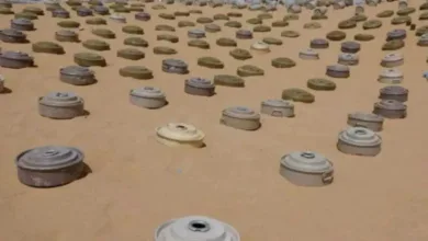 اخبار-اليمن-الان-|-“مسام”-ينتزع-أكثر-من-ألفي-لغم-وذخيرة-خلال-أسبوع-ويؤمّن-مساحات-واسعة-من-الأراضي-اليمنية