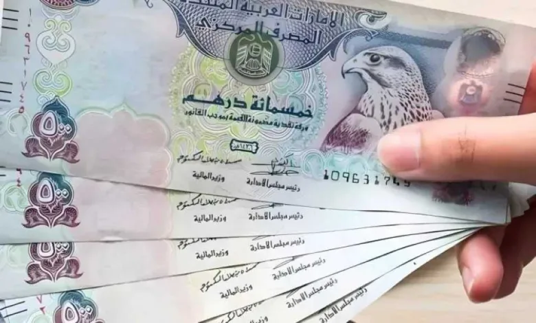 تحرك-جديد-في-سعر-الدرهم-الإماراتي-مقابل-الجنيه-المصري-منتصف-تعاملات-اليوم.-تعرف-على-التفاصيل-كاملة