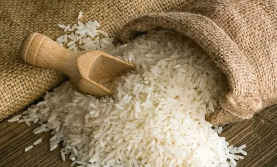 بكام-الطن؟.-أسعار-الأرز-الأبيض-والشعير-تستقر-في-الأسواق-المصرية-اليوم-الثلاثاء-12-أغسطس-2025