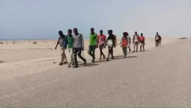 اخبار-اليمن-الان-|-إجراءات-صارمة-بحق-المتورطين-في-تهريب-المهاجرين-إلى-اليمن