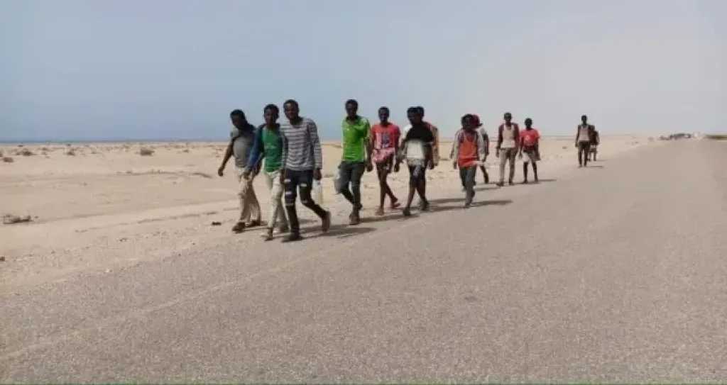 اخبار-اليمن-الان-|-إجراءات-صارمة-بحق-المتورطين-في-تهريب-المهاجرين-إلى-اليمن