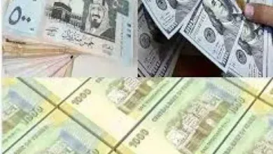 اخبار-اليمن-الان-|-”هل-بدأت-ساعة-دعم-العملة-الوطنية؟-قرار-جريء-يُعيد-ترتيب-أوراق-السوق-اليمني”