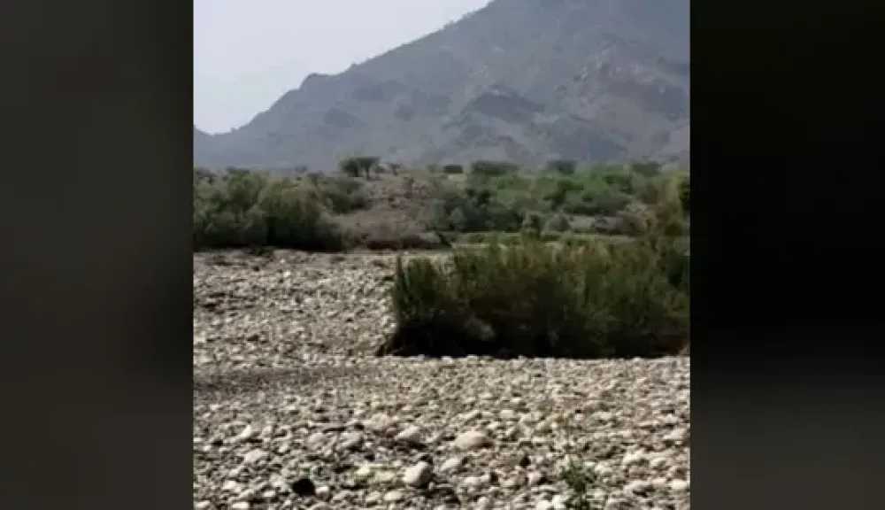 اخبار-اليمن-الان-|-مواجهات-قبلية-في-حوث-العصيمات،-بين-”ذو-أبو-شويعة”-و”ذو-فارع”-من-أبناء-ذو-يَبَل