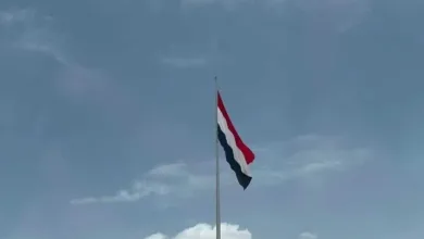 اخبار-اليمن-الان-|-فرص-اليمنيين-في-إفريقيا.-عمل-ودراسة-وتجارب-جديدة