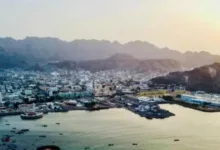 اخبار-اليمن-الان-|-فرص-واستراتيجيات-لليمنيين-للاستفادة-من-التعليم-والعمل-عن-بُعد-وتطوير-مصادر-الدخل-رغم-الأزمة