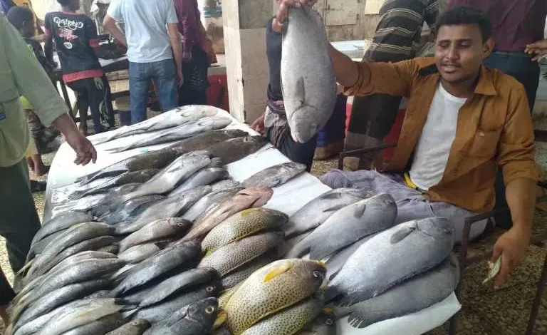 سعر-السمك-والجمبري-ما-زال-الانخفاض-مستمرا-بمصر