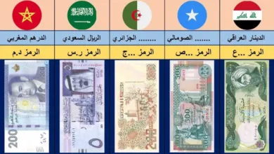 ارتفاع-ملحوظ.-أسعار-العملات-العربية-مقابل-الجنيه-المصري-بداية-تعاملات-اليوم-الأربعاء-20-–-8-2025