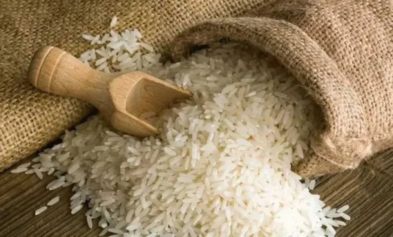 استقرار-أسعار-الأرز-في-مصر.-ومفاجأة-في-إنتاج-الأصناف-الجديدة