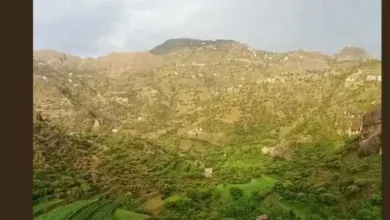 اخبار-اليمن-الان-|-اختطاف-طالب-قرآن-من-داخل-مسجد-سلفي-في-وصاب-العالي