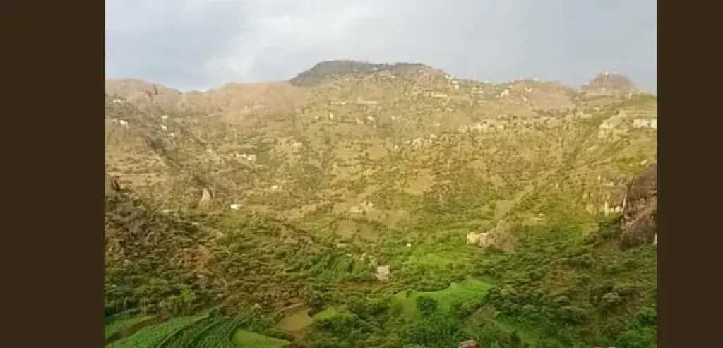 اخبار-اليمن-الان-|-اختطاف-طالب-قرآن-من-داخل-مسجد-سلفي-في-وصاب-العالي