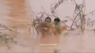 اخبار-اليمن-الان-|-شاهد-بالفيديو.فنان-عماني-يكتب-ملحمة-شجاعة-في-وادي-حضرموت-بإنقاذه-مواطنا-يمنيا-من-السبول