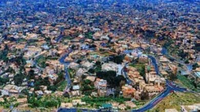 اخبار-اليمن-الان-|-”ينزف-من-عينيه-ويغطي-جسده-تقرحات-نارية.-مرض-غامض-يحول-حياة-يمني-من-تعز-إلى-كابوس-دموي!”