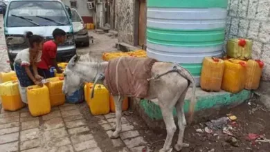 اخبار-اليمن-الان-|-أزمة-مياه-غير-مسبوقة-تضرب-حضرموت:-3-أسابيع-بلا-قطرة-ماء-في-حارات-بأكملها!