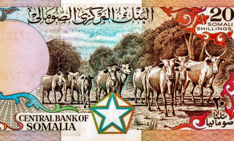 أسعار-الشلن-الصومالي-مقابل-الجنيه-المصري-بداية-تعاملات-اليوم-الجمعة-22-–-8-2025