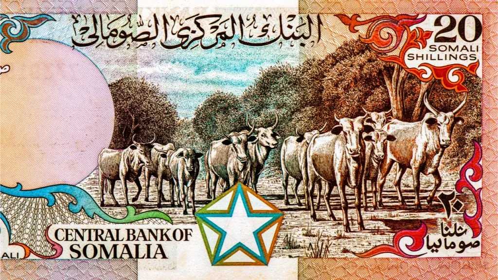أسعار-الشلن-الصومالي-مقابل-الجنيه-المصري-بداية-تعاملات-اليوم-الجمعة-22-–-8-2025