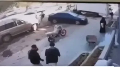 اخبار-اليمن-الان-|-كاد-يفقد-طفله-أمام-عينيه.-شاهد-بالفيديو-ماذا-فعل-أب-يمني-في-اللحظة-الحاسمة؟