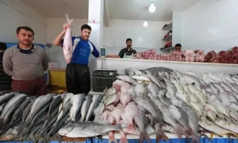 البلطى-الأسوانى-بـ80-جنيهًا-للكيلو.أسعار-الأسماك-بالسوق-المصرى