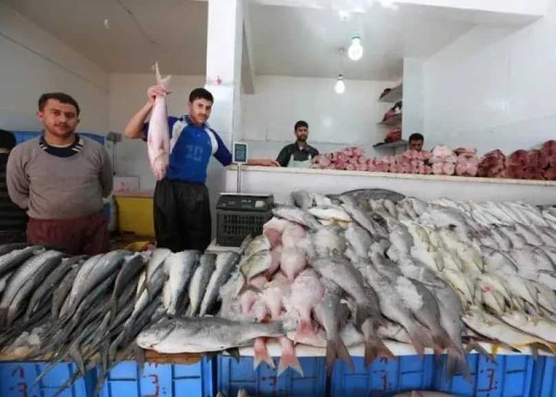 البلطى-الأسوانى-بـ80-جنيهًا-للكيلو.أسعار-الأسماك-بالسوق-المصرى
