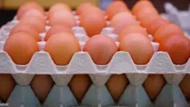 اخبار-اليمن-الان-|-”لا-تشترِ-البيض-بهذا-السعر!”-–-دعوة-جريئة-من-إعلامي-يمني-لمقاطعة-جشع-التجار…-هل-أنت-معه؟