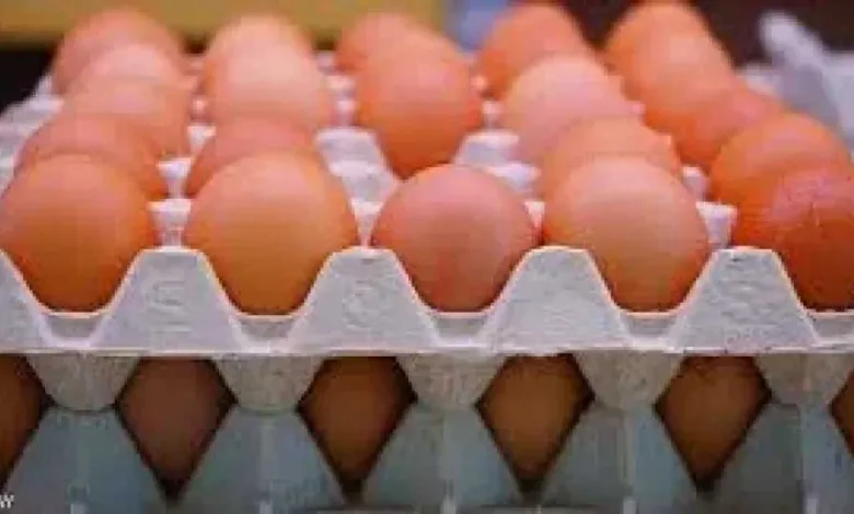 اخبار-اليمن-الان-|-”لا-تشترِ-البيض-بهذا-السعر!”-–-دعوة-جريئة-من-إعلامي-يمني-لمقاطعة-جشع-التجار…-هل-أنت-معه؟