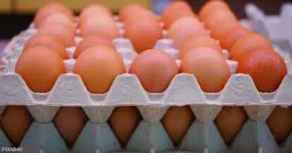 اخبار-اليمن-الان-|-”لا-تشترِ-البيض-بهذا-السعر!”-–-دعوة-جريئة-من-إعلامي-يمني-لمقاطعة-جشع-التجار…-هل-أنت-معه؟