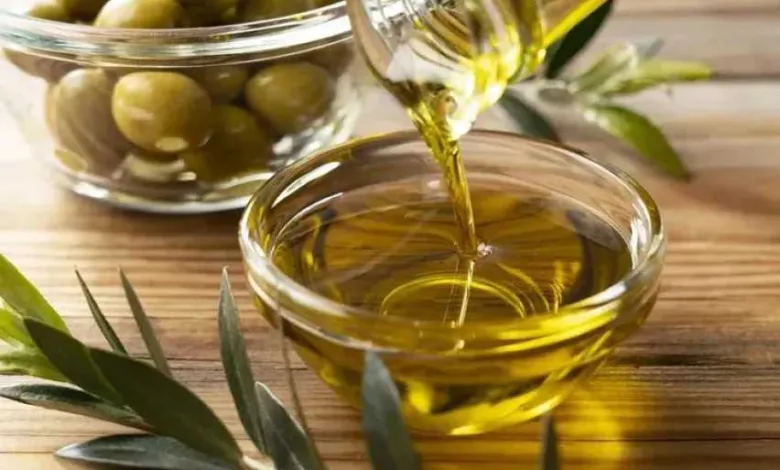 مصر-تقترب-من-إسبانيا.-المركز-الثاني-عالميًا-في-تصدير-زيتون-المائدة