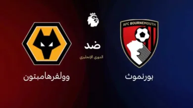 موعد-مباراة-بورنموث-وولفرهامبتون-في-الجولة-الثانية-من-الدوري-الإنجليزي