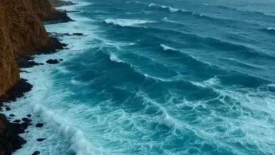 اخبار-اليمن-الان-|-الأرصاد-يحذر:-أمطار-رعدية-واضطراب-بحري-يهددان-مناطق-اليمن-الساحلية-والجبلية