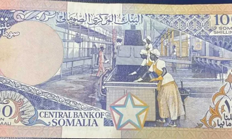 أسعار-الشلن-الصومالي-مقابل-الجنيه-المصري-بداية-تعاملات-اليوم-الأحد-24-–-8-2025