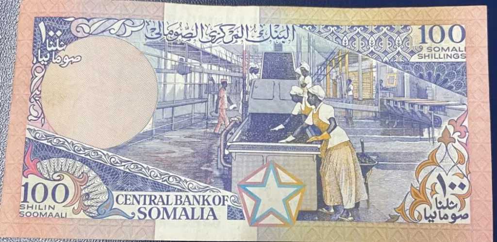 أسعار-الشلن-الصومالي-مقابل-الجنيه-المصري-بداية-تعاملات-اليوم-الأحد-24-–-8-2025