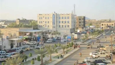 اخبار-اليمن-الان-|-جريمة-مروعة-في-وضح-النهار.-سائق-باص-يقتل-مواطنًا-في-مارب