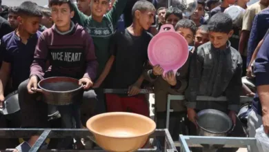 اخبار-اليمن-الان-|-شهداء-الجوع-في-غزة-يتزايدون:-289-روحًا-أزهقها-التجويع-الإسرائيلي-الممنهج