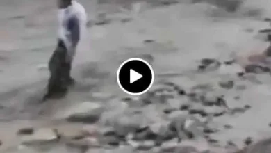 اخبار-اليمن-الان-|-كأنه-في-الأفلام-السيول-تجرف-مواطنًا-أمام-أعين-المصورين.-وفقدان-جثته-(فيديو)