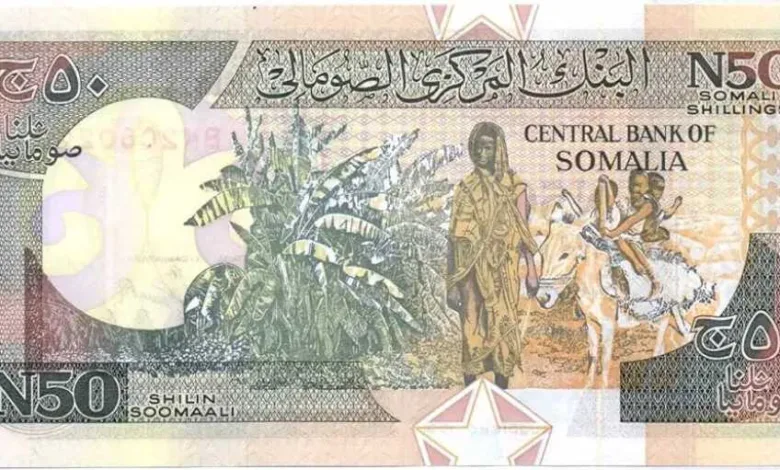 تحديث-مفاجئ.-أسعار-الشلن-الصومالي-مقابل-الجنيه-المصري-بداية-تعاملات-اليوم-الثلاثاء-26-–-8-2025