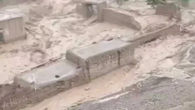 اخبار-اليمن-الان-|-وفاة-وإصابة-10-أمواطنين-بصواعق-رعدية-وسيول-الأمطار-في-الحديدة