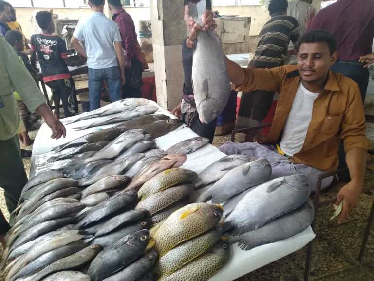 أسعار-الأسماك-اليوم-الثلاثاء-26-8-2025-فى-مصر