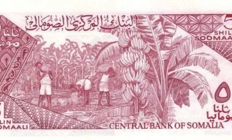 تغير-مفاجئ.-أسعار-الشلن-الصومالي-مقابل-الجنيه-المصري-بداية-تعاملات-اليوم-الأربعاء-27-–-8-2025